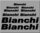 STICKERS BIANCHI BIKE REF: R241