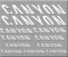 Pegatinas CANYON BIKE REF: R216