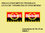 STICKERS SABELT RACING TUNING REF: FD404